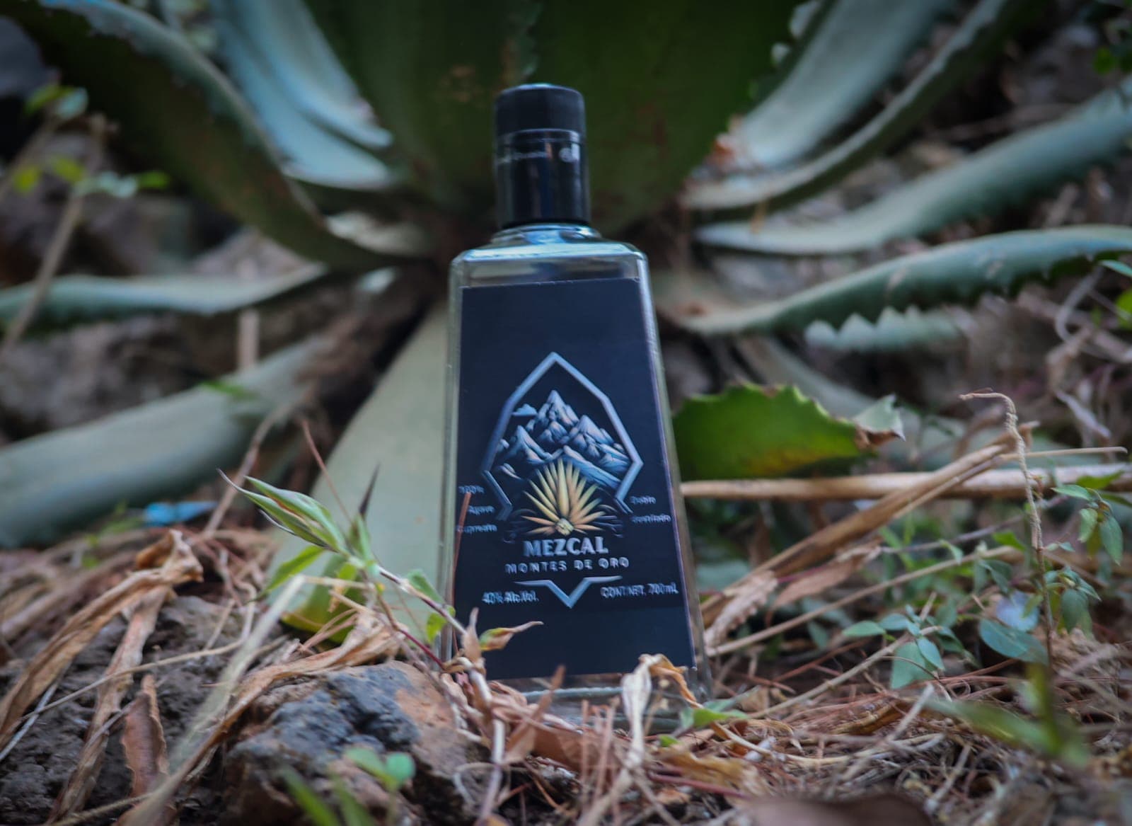 Mezcal Montes, México